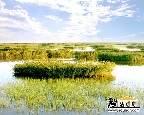 鴛鴦溝濕地景觀(guān)