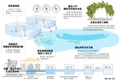 集裝箱做養魚(yú)池